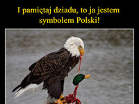 I pamiętaj dziadu, to ja jestem  symbolem Polski! –  