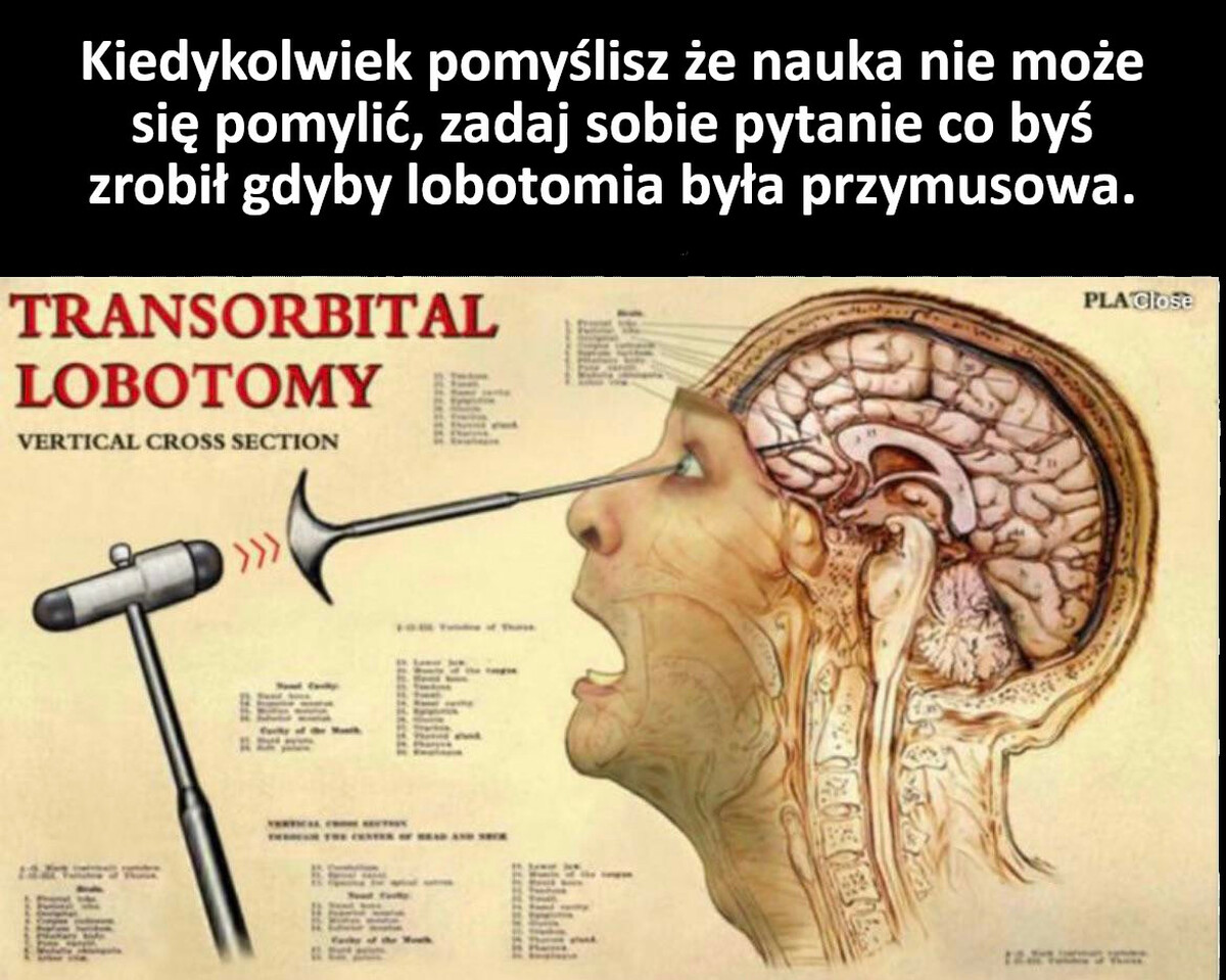 Nauka – Demotywatory.pl