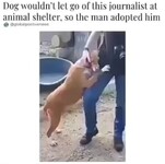 Ten dziennikarz poszedł zrobić reportaż o psach w schroniskach dla zwierząt A ten bardzo uczuciowy pies przytulił się do jego nogi i nie chciał puścić. Dziennikarz nie mógł się oprzeć i adoptował go! –  Dog vouldn't l Iet go of this journalist at animal shelter, so the man adopted him
