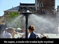 Woda dla ochłody - kurtyny  i bramki w całej Warszawie –  No super, a może nie trzeba było wycinać Wszystkich drzew, debile?
