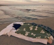 Mężczyzna zabrał swojego umierającego psa nad morze, by po raz ostatni zobaczył fale, które tak uwielbiał –  