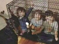 Rodzina: Przyjeżdżamy do ciebie 
z dziećmi, ale one nie lubią psów. 
Nie będziesz miał nic przeciwko, żeby je zamknąć? Ja: Nie ma problemu!