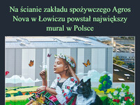 Na ścianie zakładu spożywczego Agros Nova w Łowiczu powstał największy mural w Polsce Mural mający 3500 m2, nawiązuje do kultury regionu oraz działalności przedsiębiorstwa czyli do pomidorów i truskawek, które są przetwarzane w zakładzie –  ŁOWICZ ŁOWICZ Fo