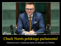 Chuck Norris polskiego parlamentu! – Hołownia orze i masakruje lepiej niż Mentzen na TikToku 5