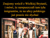 Znajomy wrócił z Wielkiej Brytanii, i mówi, że nawpuszczali tam tylu imigrantów, że na ulicy polskiego  już prawie nie słychać –  IRL