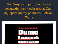 Św. Wojciech, patron od spraw beznadziejnych i cała reszta. Czyli najlepsze memy po meczu Polska - Walia