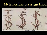Metamorfoza przysięgi Hipokratesa –  $$$$